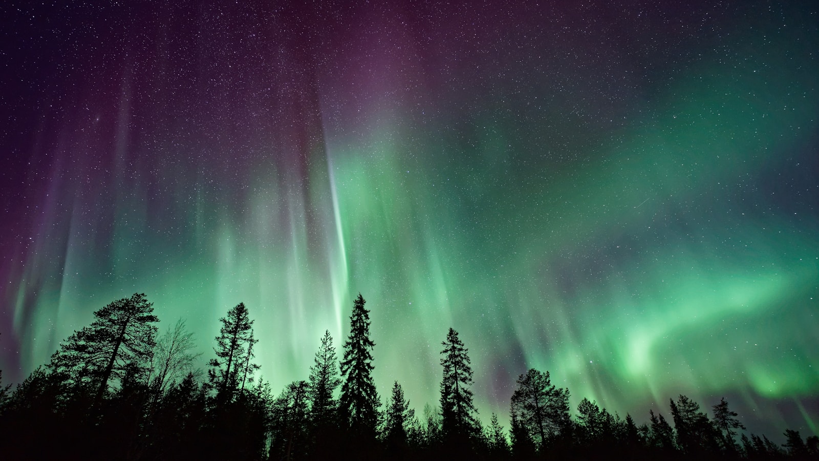 Tromso — vacation deals
